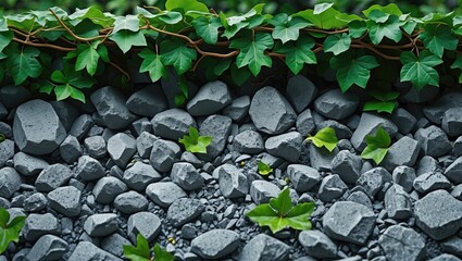 Poster - Green ivy leaves trailing over gray stones and gravel surface with scattered foliage and rough textures in natural daylight setting.