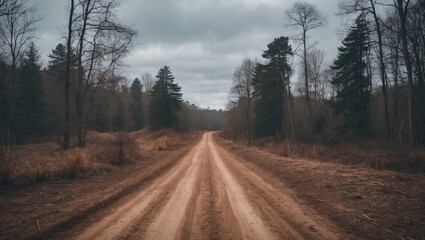Poster - Dirt road through a forest landscape with barren trees and overcast sky in a rural setting