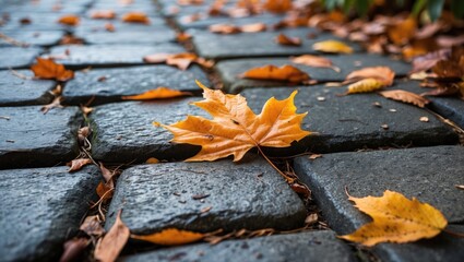Poster - Close-up view of autumn leaves on cobblestone pavement with fallen orange maple leaf and others in a natural outdoor setting