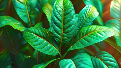 Poster - close-up of vibrant green leaves with detailed textures and natural patterns illuminated by soft lig