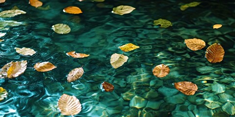 Poster - Floating autumn leaves in a tranquil turquoise water surface with ripples and golden reflections creating a serene nature scene.