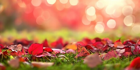 Fototapete - Vibrant red leaves on lush green grass create a striking autumn scene with a soft dreamy bokeh background enhancing the colors in warm hues