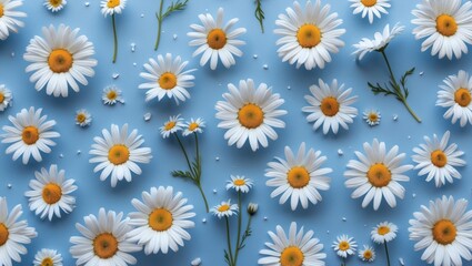 Wall Mural - Daisies on blue background flat lay arrangement with green stems and scattered petals detailed floral pattern