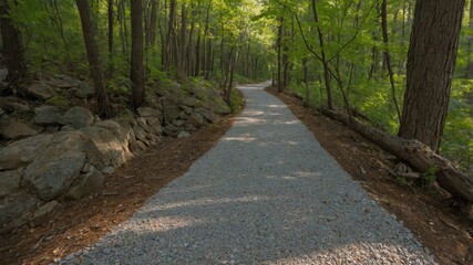 Poster - Scenic Gravel Pathway Through Lush Green Forest Surrounded by Rocks and Trees in Natural Landscape Setting