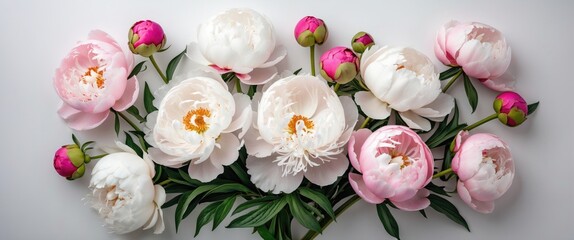 Wall Mural - Arrangement of pink and white peonies with green leaves on a light background in a flat lay composition