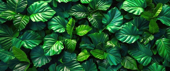 Poster - Lush green leaf texture for background nature design showcasing vibrant foliage and rich natural patterns.