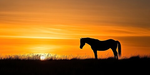 Poster - Silhouette of a horse standing on a grassy hill against a vibrant orange sunset with soft clouds creating a serene atmosphere.