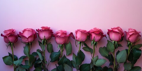 Poster - Pink roses arranged in a row against a soft pink background with lush green leaves showcasing elegance and beauty. Ideal for romantic themes.