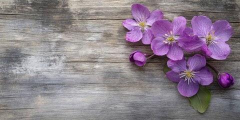 Wall Mural - Purple flowers in full bloom placed on a rustic aged wooden surface with soft gray tones and natural green leaves creating a serene spring ambiance.