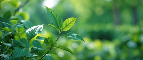 Aufkleber - Close up view of vibrant green leaves against a soft blurred background showcasing the beauty of nature and ecological harmony in spring.