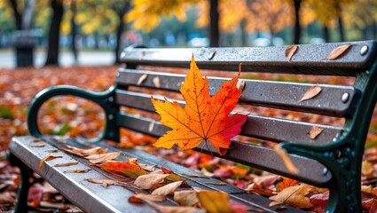 Aufkleber - Vibrant autumn leaves on a park bench surrounded by colorful foliage in a serene outdoor setting during fall season.