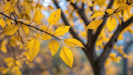Aufkleber - Vibrant close-up of autumn yellow leaves highlighting the beauty and transition of nature during the fall season.