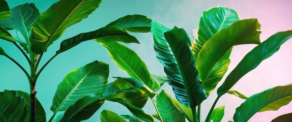 Aufkleber - Tropical green leaves with vibrant colors and soft bright background showcasing nature's beauty and tranquility in a close up view.