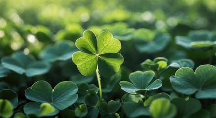 Poster - vibrant green clover leaf among lush foliage symbolizing luck and nature's beauty in serene outdoor 