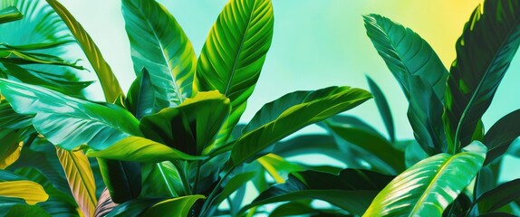 Poster - tropical green leaves with vibrant colors on a soft gradient background in natural lighting