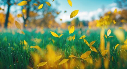 Aufkleber - Autumn foliage with blurred yellow leaves and lush green grass on a sunny day reflecting seasonal transition and natural beauty.
