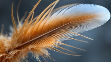Aufkleber - Detailed closeup of a delicate orange and white feather showcasing intricate textures and natural beauty on a soft background.
