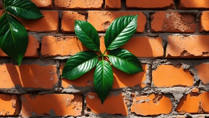 Wall Mural - close up of vibrant green leaves against a textured orange brick wall illuminated by sunlight creating a natural contrasting composition