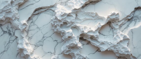 Poster - textured white marble surface with intricate patterns and relief details, showcasing natural veining