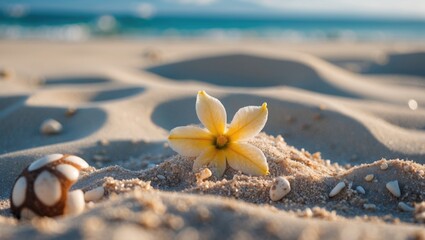 Poster - Close up of delicate yellow flower on sandy beach with seashells and gentle waves in the background creating a serene coastal atmosphere.