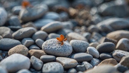 Aufkleber - Close up of smooth pebbles with an orange leaf creating a serene natural background for relaxation or meditation concepts.