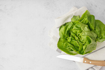 Sticker - Fresh Boston lettuce on white background