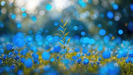 Poster - Blue floral landscape with bokeh effect featuring a single green plant in focus against a blurred background of blue flowers.