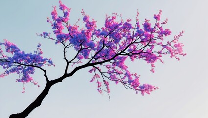 Poster - Colorful flowering branch against a light sky background with vibrant pink and purple blossoms in springtime scenery