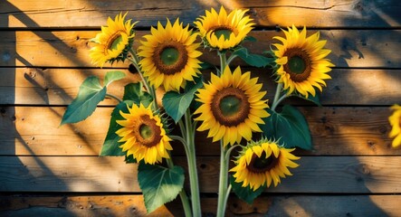 Wall Mural - Sunflowers arranged against a wooden background displaying vibrant yellow petals with green leaves and natural sunlight shadows Copy Space