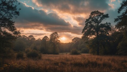 Aufkleber - Sunset over tranquil meadow with trees and cloudy sky illuminated by warm evening light Copy Space
