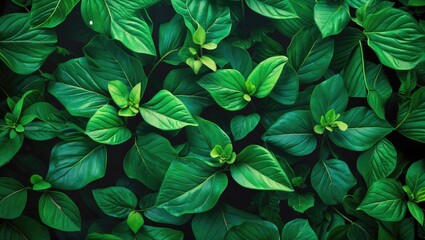 Sticker - Vibrant green foliage texture creating a natural and refreshing background ideal for nature-themed designs and wellness projects.