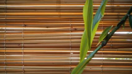 Sticker - Bamboo sunblind details with natural light showcasing texture and greenery enhancing a serene indoor atmosphere.