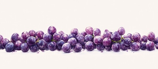 Poster - Purple grapes scattered on a light beige background with varying shades of purple, showcasing their natural texture and freshness in a horizontal arrangement.