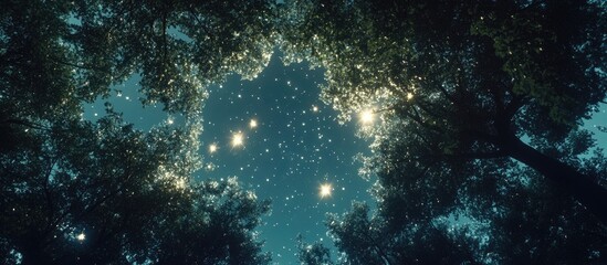 Poster - Starry night sky viewed through a dense forest canopy with vibrant green leaves surrounding bright twinkling stars and soft ethereal light.