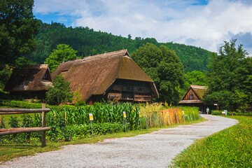 Canvas Print - View to the buildings of The Black Forest Open Air Museum