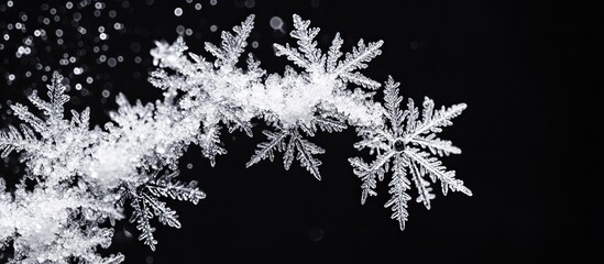 Aufkleber - Black background featuring intricate white snowflake textures overlaying the image, with snowflakes positioned in a delicate arc shape.