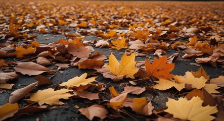 Wall Mural - Colorful fallen autumn leaves covering the ground in UK nature, showcasing the beauty of fall with vibrant hues and textures.