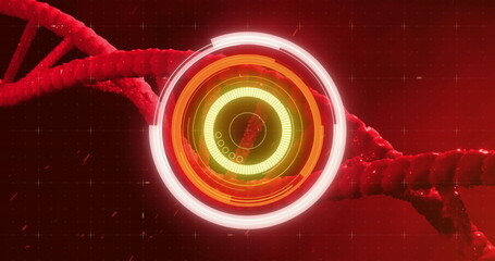 Poster - DNA strand and circular interface image over red background