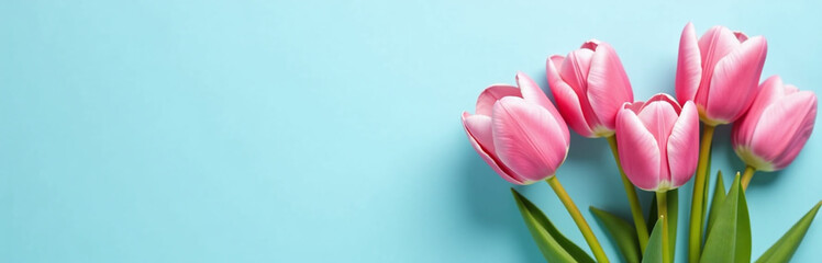 Poster - Lovely Greeting Card Featuring Beautiful Tulips In Soft Pink Hues Against A Light Blue Backdrop For Special Occasions. 00001