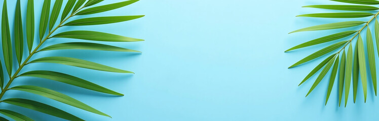 Poster - Elegant Banner Design Featuring Palm Fronds On A Serene Blue Background Leaving Ample Space For Text Overlay. 00001