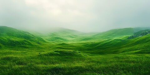 Poster - Large field of green grass