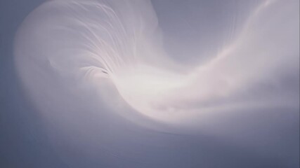 Wall Mural - Soft smoke filled, creating hypnotic movement