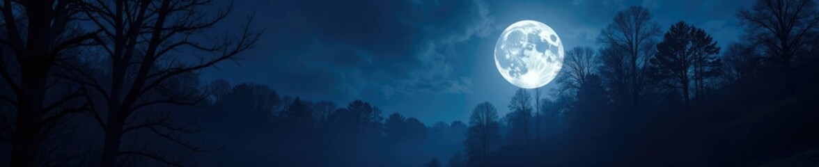 full moon casts an otherworldly glow on trees, gloomy, forest, woodland