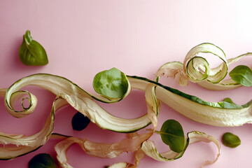 Poster - Spiraling Cucumber Peel Artfully Situated Against a Soft Pastel Background in a Serene Setting