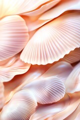 Canvas Print - Soft peach-colored seashells create a delicate and dreamy composition.