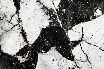 Poster - Elegant monochrome grunge texture showcasing intricate cracks and imperfections for stylish fashion design and creative projects inspiration