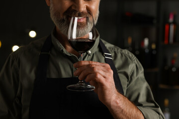 Wall Mural - Professional sommelier tasting red wine in glass indoors, closeup