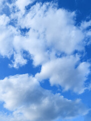 Wall Mural - cloudscape – white clouds in a bright blue sky, natural background. blue heaven with clouds