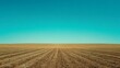 © HPMP Studio - Open Farmland with Rows of Crops Under a Clear Blue Sky