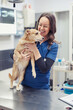 © ivanko80 - Smiling veterinarian holds a small dog in a clinic during a wellness checkup session